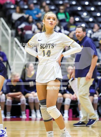 Thumbnail 3 in Highland Park @ A&M Consolidated (UIL 5A D1 Volleyball Final) photogallery.