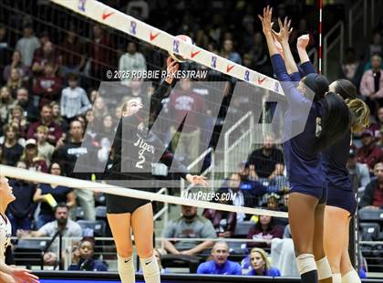 Thumbnail 1 in Highland Park @ A&M Consolidated (UIL 5A D1 Volleyball Final) photogallery.