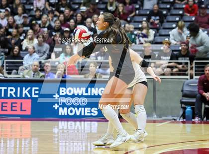 Thumbnail 3 in Highland Park @ A&M Consolidated (UIL 5A D1 Volleyball Final) photogallery.