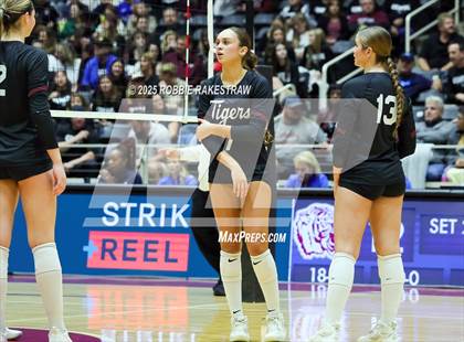 Thumbnail 3 in Highland Park @ A&M Consolidated (UIL 5A D1 Volleyball Final) photogallery.