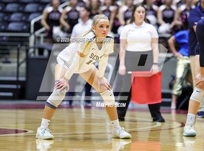 Thumbnail 3 in Highland Park @ A&M Consolidated (UIL 5A D1 Volleyball Final) photogallery.