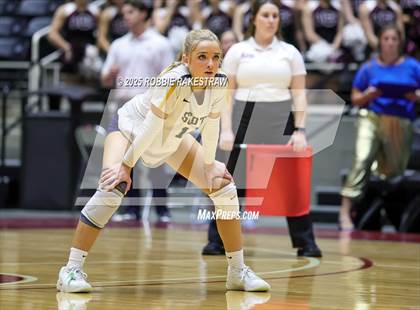 Thumbnail 3 in Highland Park @ A&M Consolidated (UIL 5A D1 Volleyball Final) photogallery.