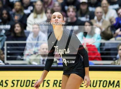Thumbnail 1 in Highland Park @ A&M Consolidated (UIL 5A D1 Volleyball Final) photogallery.