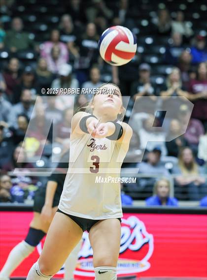 Thumbnail 3 in Highland Park @ A&M Consolidated (UIL 5A D1 Volleyball Final) photogallery.