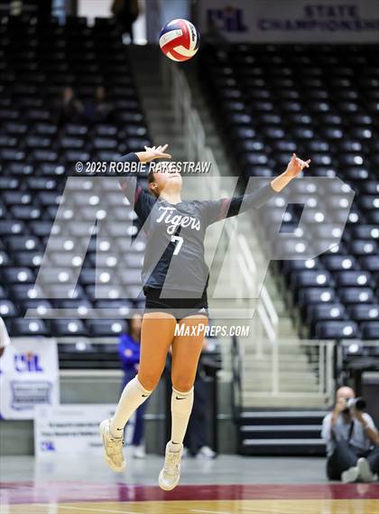 Thumbnail 3 in Highland Park @ A&M Consolidated (UIL 5A D1 Volleyball Final) photogallery.