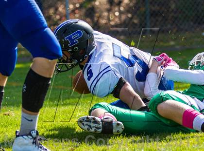 Thumbnail 3 in Plainville @ Northwest Catholic photogallery.