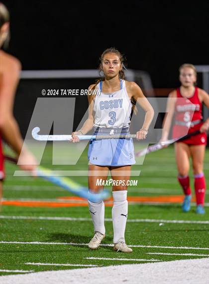 Thumbnail 3 in Cosby vs Grassfield (VHSL 6A Semifinals) photogallery.