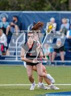 Photo from the gallery "Warde @ Wilton"