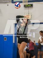 Photo from the gallery "River Valley @ Orland"