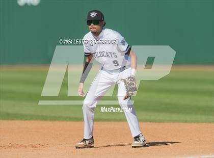 Thumbnail 2 in O'Connor @ Sotomayor photogallery.