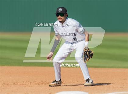 Thumbnail 1 in O'Connor @ Sotomayor photogallery.