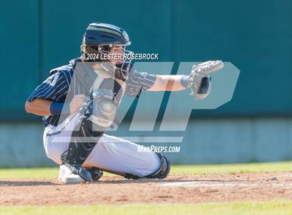 Thumbnail 2 in O'Connor @ Sotomayor photogallery.