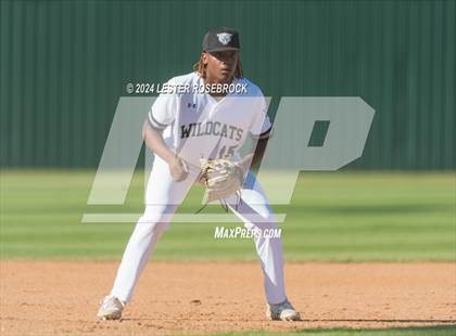 Thumbnail 1 in O'Connor @ Sotomayor photogallery.