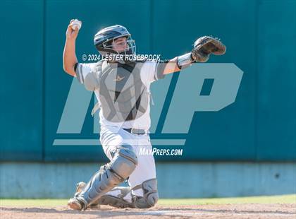 Thumbnail 1 in O'Connor @ Sotomayor photogallery.