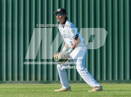 Thumbnail 1 in O'Connor @ Sotomayor photogallery.