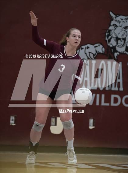 Thumbnail 1 in Polytechnic @ Paloma Valley (CIF SS Div 3 Semifinal) photogallery.