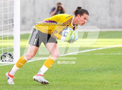 Thumbnail 2 in Herriman vs. Layton (UHSAA 5A Final) photogallery.