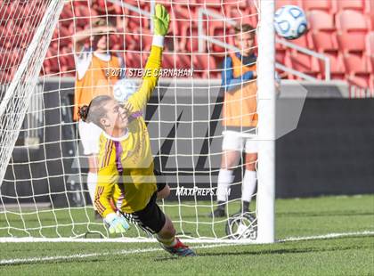 Thumbnail 2 in Herriman vs. Layton (UHSAA 5A Final) photogallery.