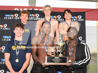 Thumbnail 2 in AIA Division III Swim State Championships - Awards photogallery.