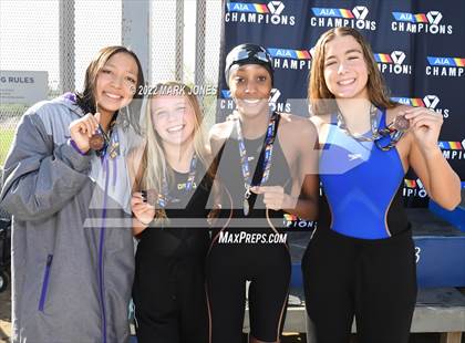 Thumbnail 1 in AIA Division III Swim State Championships - Awards photogallery.