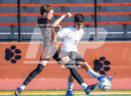 Thumbnail 1 in Monta Vista @ Woodside photogallery.