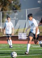 Photo from the gallery "Monta Vista @ Woodside"