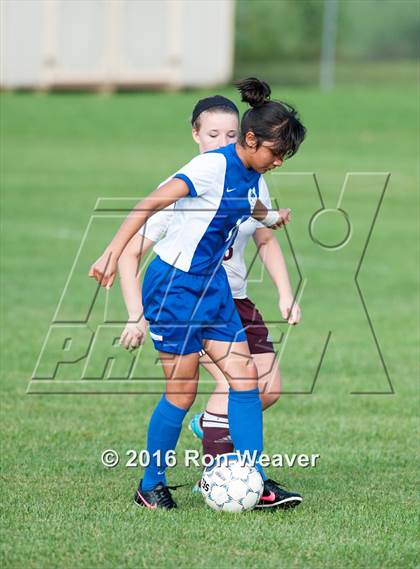 Thumbnail 3 in Unicoi County at Happy Valley photogallery.