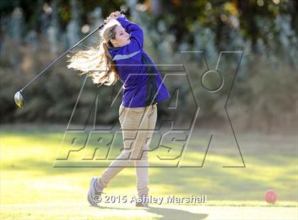 Thumbnail 1 in Tottenville vs Cardozo (PSAL Semifinal) photogallery.