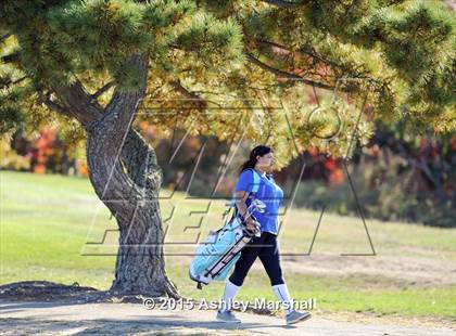 Thumbnail 1 in Tottenville vs Cardozo (PSAL Semifinal) photogallery.