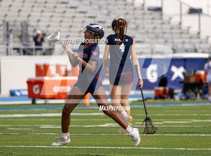 Thumbnail 1 in Manatee @ IMG Academy photogallery.