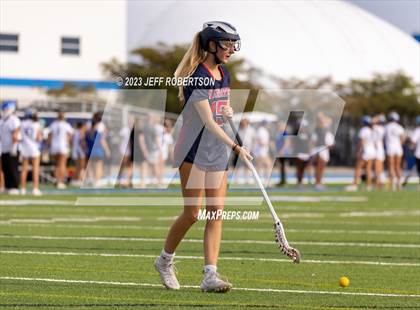 Thumbnail 1 in Manatee @ IMG Academy photogallery.