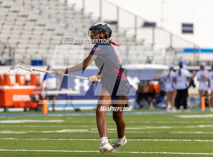 Thumbnail 2 in Manatee @ IMG Academy photogallery.