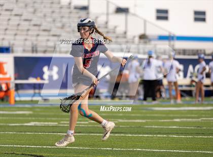 Thumbnail 3 in Manatee @ IMG Academy photogallery.