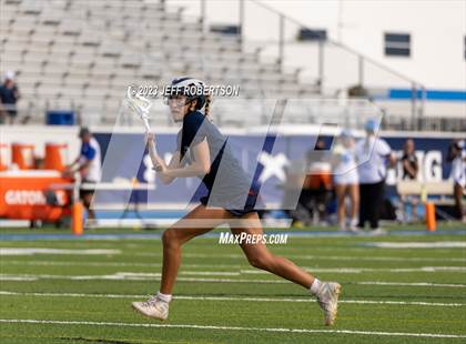 Thumbnail 2 in Manatee @ IMG Academy photogallery.