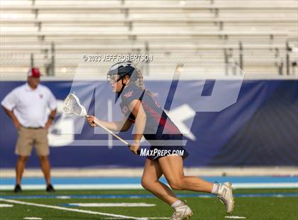 Thumbnail 1 in Manatee @ IMG Academy photogallery.