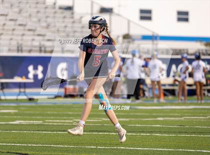 Thumbnail 3 in Manatee @ IMG Academy photogallery.