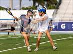 Photo from the gallery "Manatee @ IMG Academy"