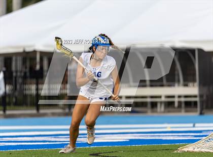 Thumbnail 1 in Manatee @ IMG Academy photogallery.
