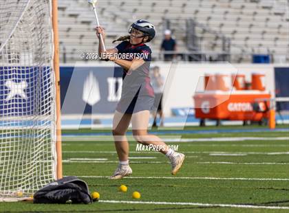 Thumbnail 2 in Manatee @ IMG Academy photogallery.