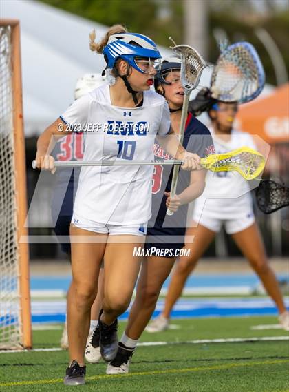 Thumbnail 1 in Manatee @ IMG Academy photogallery.
