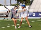 Photo from the gallery "Manatee @ IMG Academy"