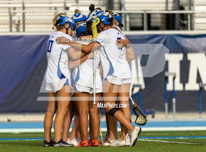 Thumbnail 1 in Manatee @ IMG Academy photogallery.