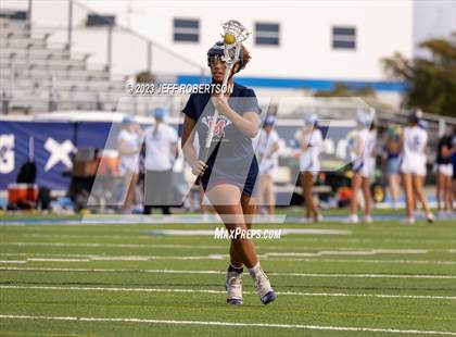 Thumbnail 1 in Manatee @ IMG Academy photogallery.