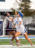 Photo from the gallery "Manatee @ IMG Academy"