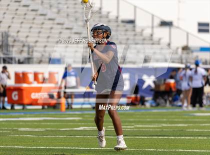 Thumbnail 1 in Manatee @ IMG Academy photogallery.