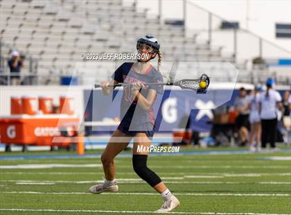 Thumbnail 3 in Manatee @ IMG Academy photogallery.
