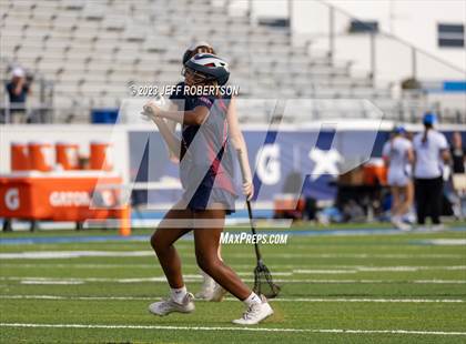 Thumbnail 1 in Manatee @ IMG Academy photogallery.