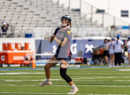 Thumbnail 1 in Manatee @ IMG Academy photogallery.