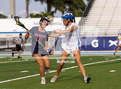 Thumbnail 3 in Manatee @ IMG Academy photogallery.