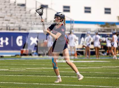 Thumbnail 1 in Manatee @ IMG Academy photogallery.